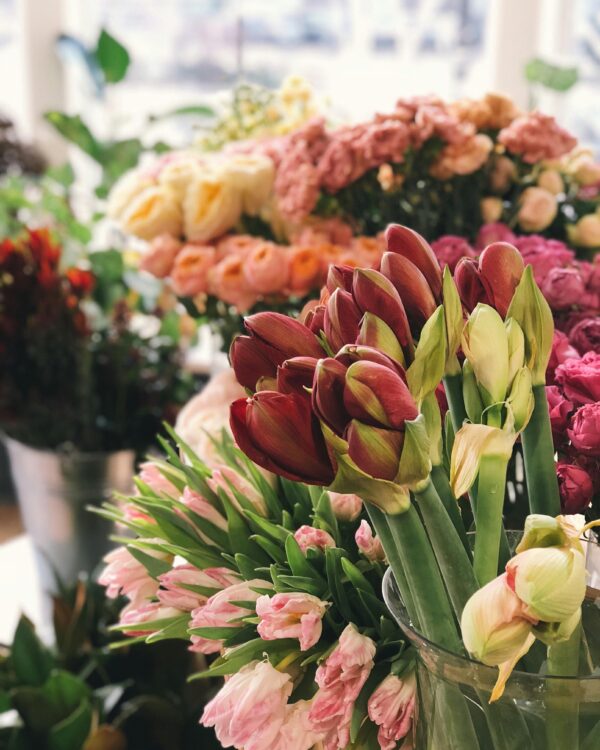 Flower Bouquets