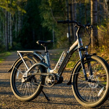 Electric Bikes