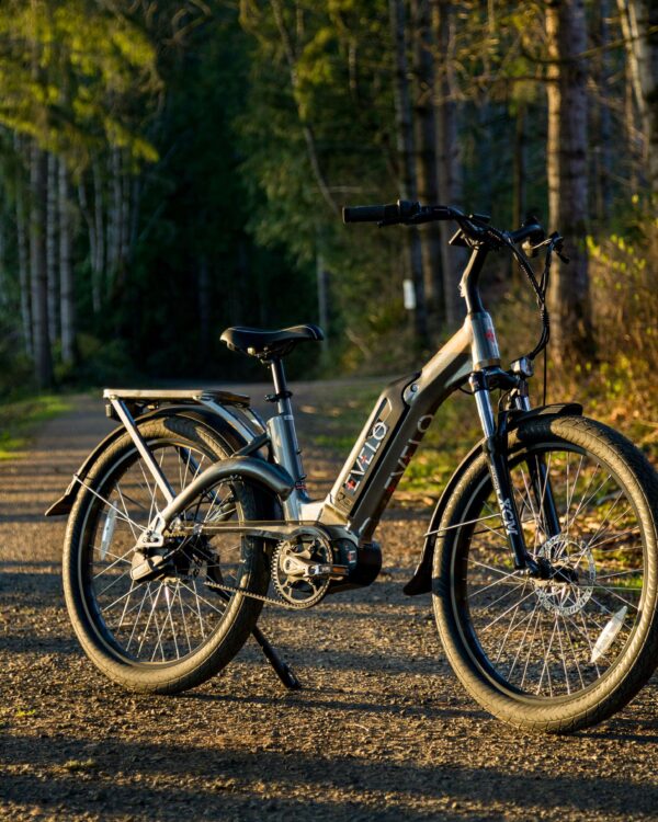 Electric Bikes